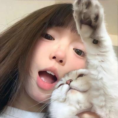 吃土的十二个月
